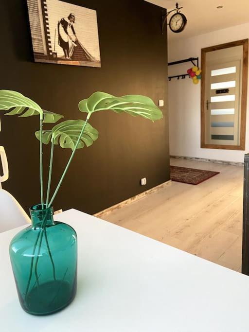 San Riverbank Apartment Przemyśl Exterior foto